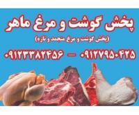 آگهی رایگان