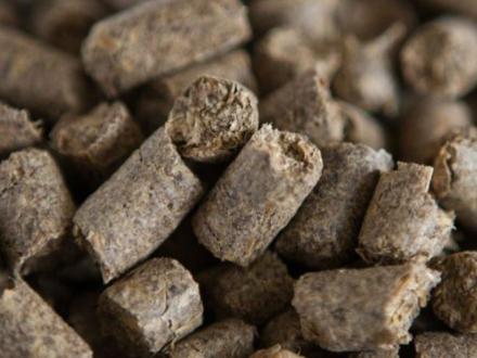 تفاله تر و خشک فشنگی چغندر قند ملاس دار