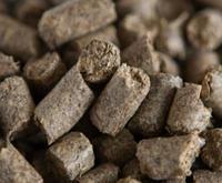 آگهی رایگان