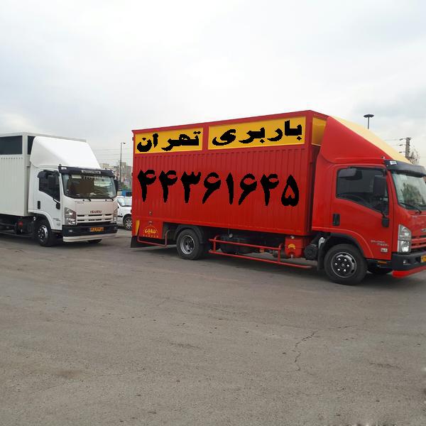 باربری پونک 44361645