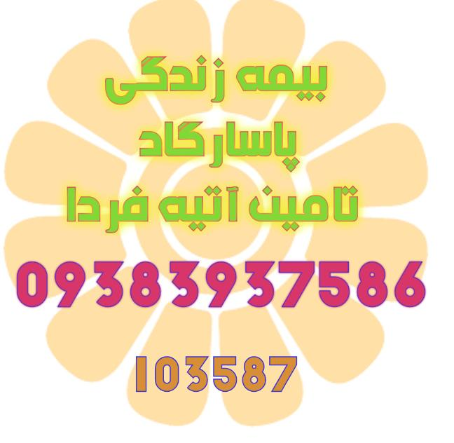 نمایندگی بیمه پاسارگاد کد 103587