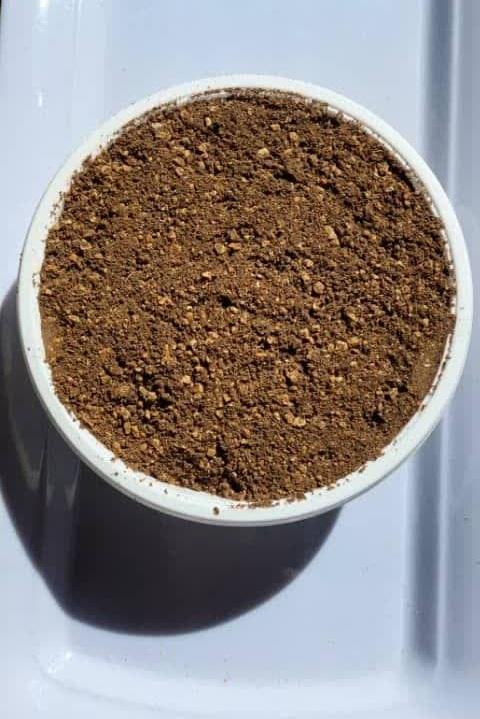 کنجاله زیتون خوراک دام