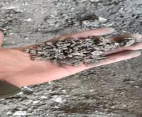آگهی رایگان