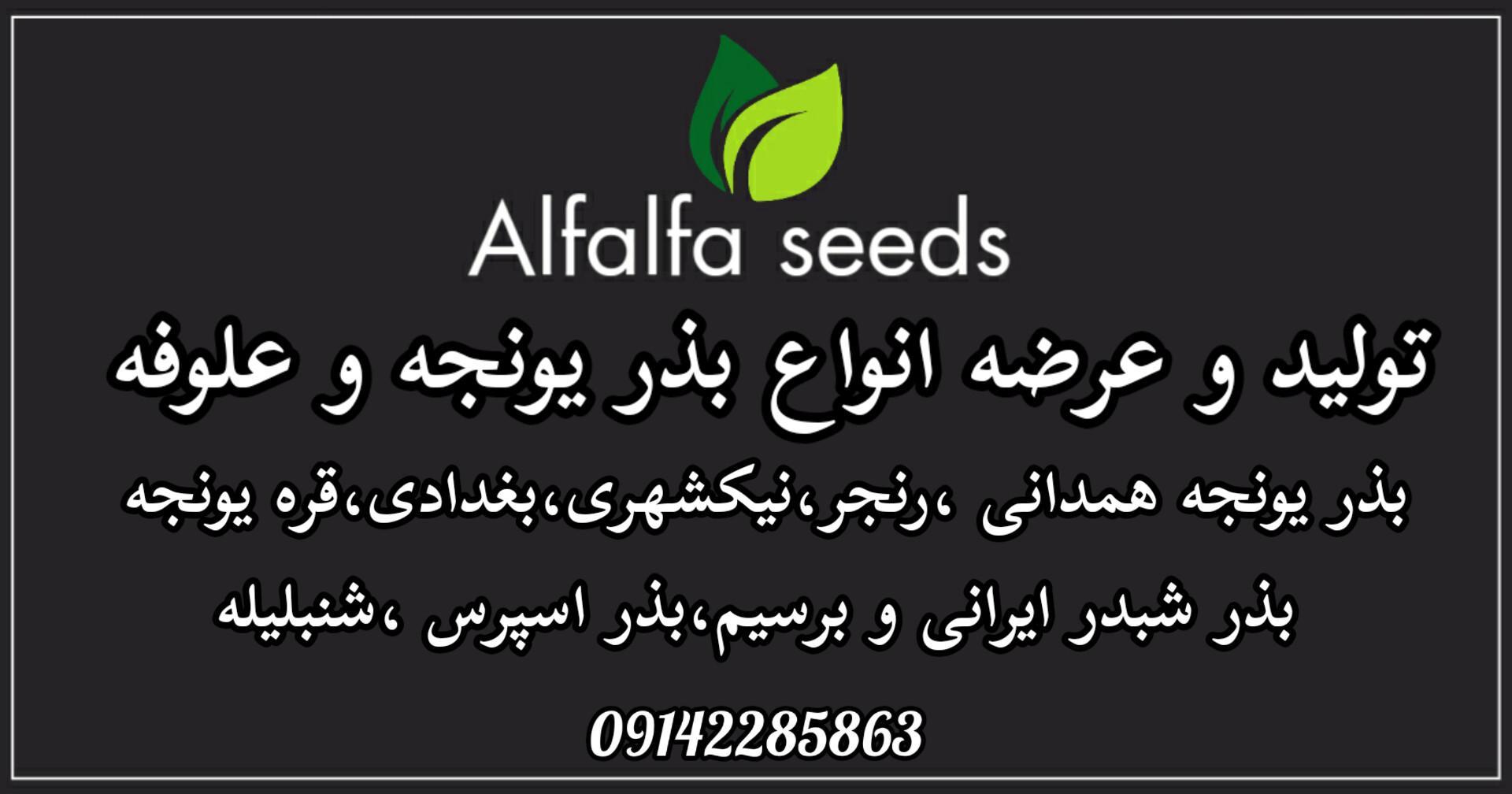 فروش بذر یونجه در شیراز