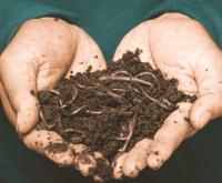 آگهی رایگان