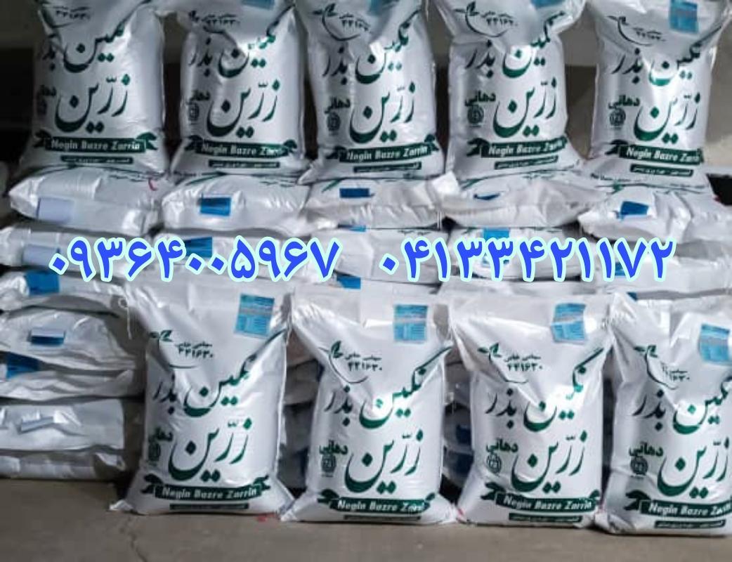 بهترین قیمت فروش بذر یونجه و بذر علوفه