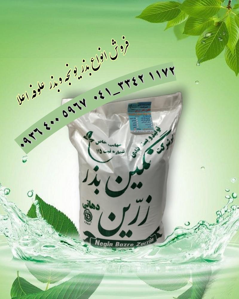 فروش بذر یونجه سورت شده و بذر علوفه