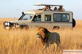 تور خارجی  کنیا