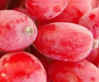 آگهی رایگان