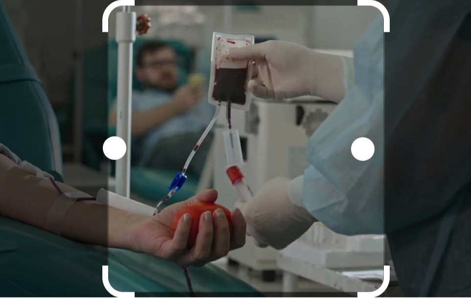 آموزش فصد خون و نبض شناسی