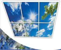 آگهی رایگان