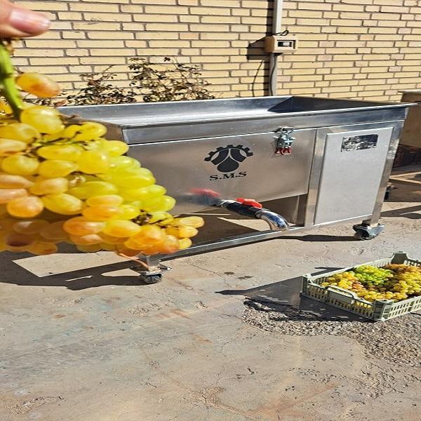 آبگیر سیب،لیمو و غوره (انگور با خوشه)