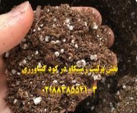 آگهی رایگان