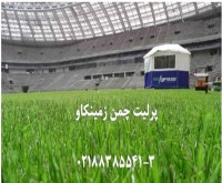 آگهی رایگان