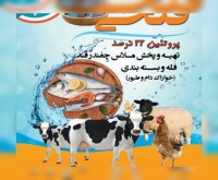 آگهی رایگان