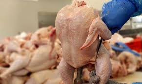 پخش مرغ و گوشت ماهر