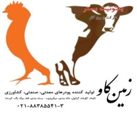 آگهی رایگان