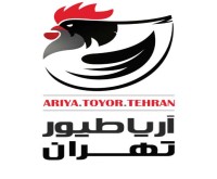 آگهی رایگان