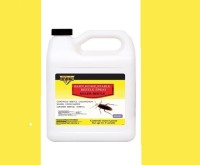 آگهی رایگان