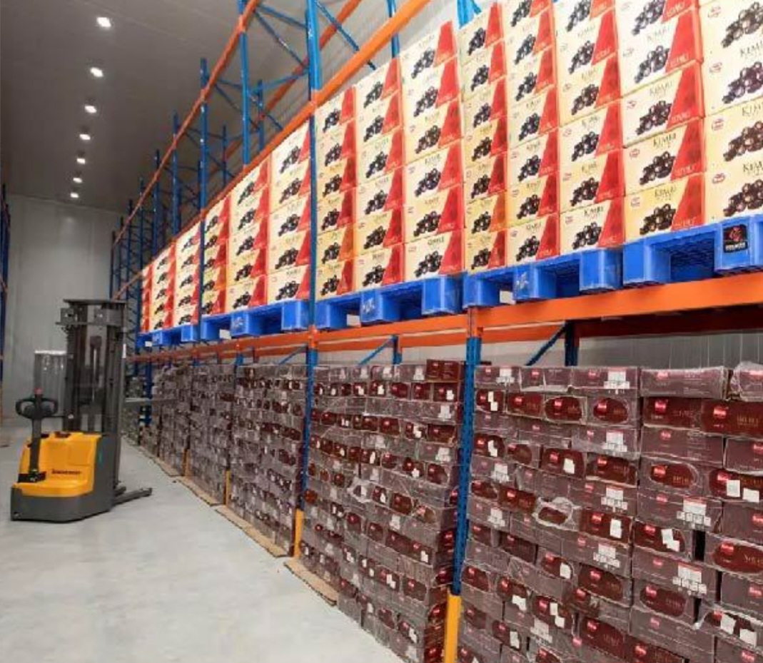 سردخانه صنعتی خرما