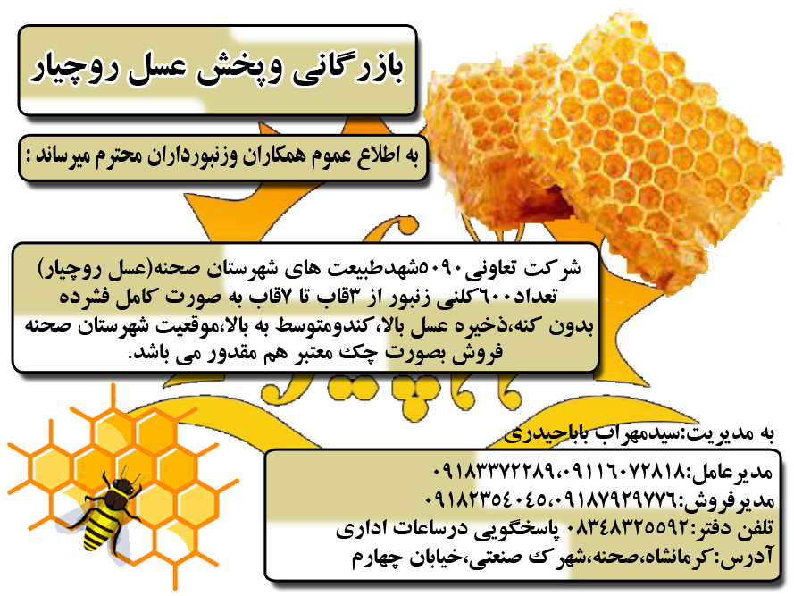 فروش زنبور درجه یک غرب کشور