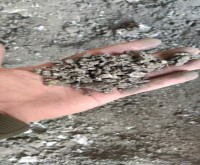 آگهی رایگان