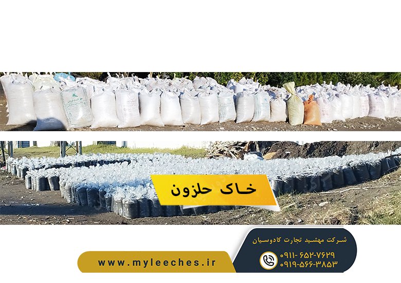 خاک حلزون از کجا بخریم
