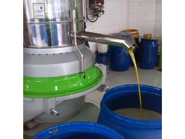روغن زیتون مستقیم از کارخانه و باغدار