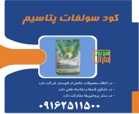 آگهی رایگان