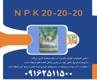 آگهی رایگان