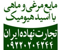 آگهی رایگان