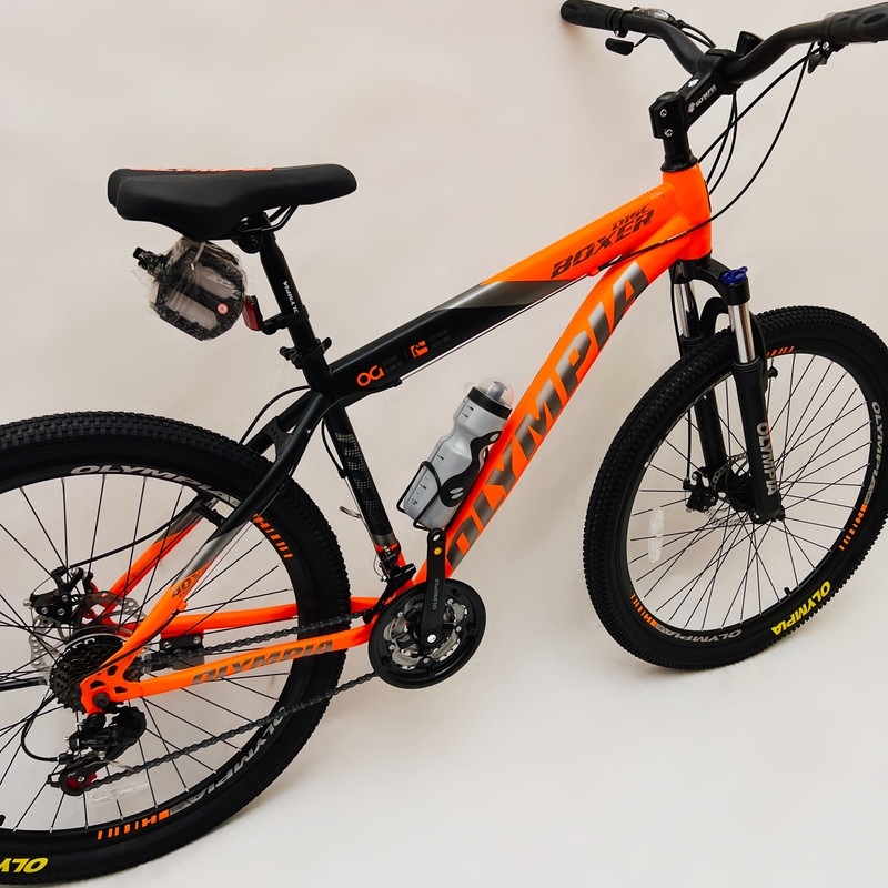 دوچرخه پادشاه مدل جورواجور