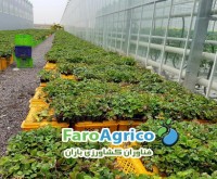 آگهی رایگان