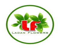آگهی رایگان