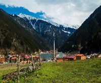 آگهی رایگان