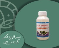 آگهی رایگان