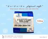آگهی رایگان