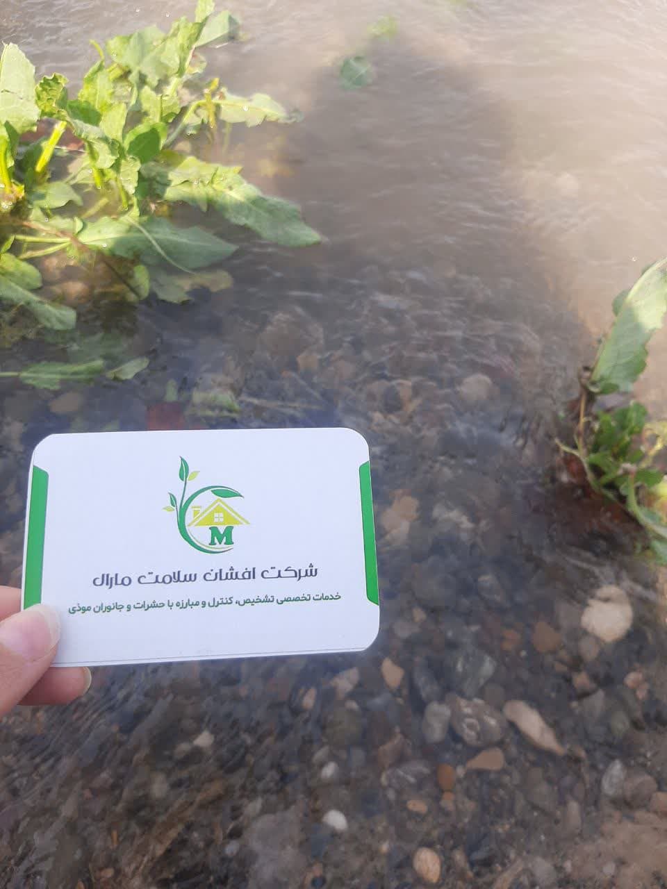 سمپاشی(خدمات تخصصی مبارزه با حشرات )