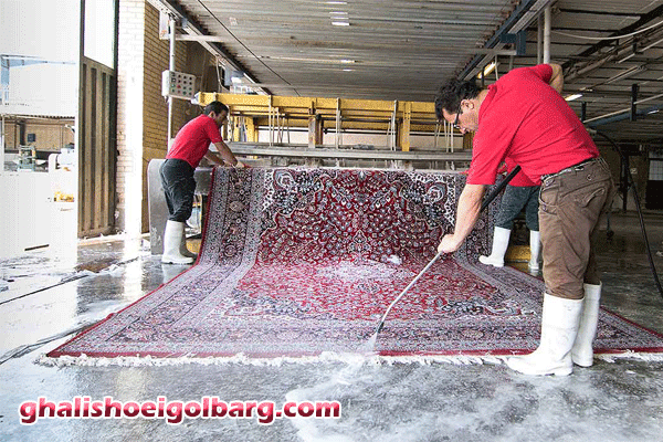 قالیشویی گلبرگ در حکیمیه