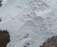 آگهی رایگان