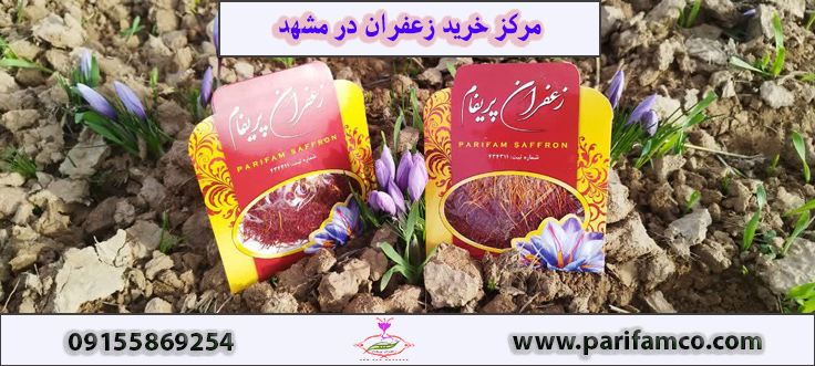 خرید زعفران سرگل با کیفیت عالی + قیمت پایین