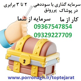 بهترین سرمایه گذاری با سود ماهانه و شراکت درکار
