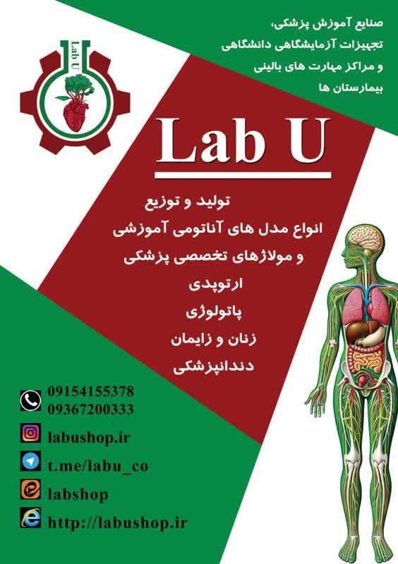 فانتوم ومدل آناتومی آزمایشگاه