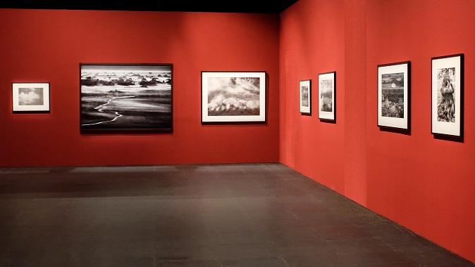 نمایشگاه مجازی هنری