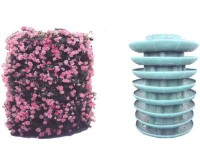 آگهی رایگان