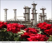 آگهی رایگان