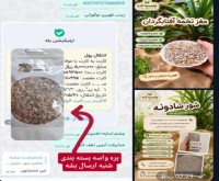 آگهی رایگان