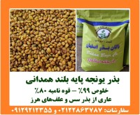 آگهی رایگان