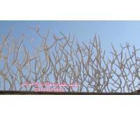 آگهی رایگان