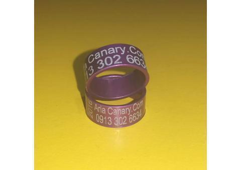 فروش انواع پلاك قناري و كبوتر